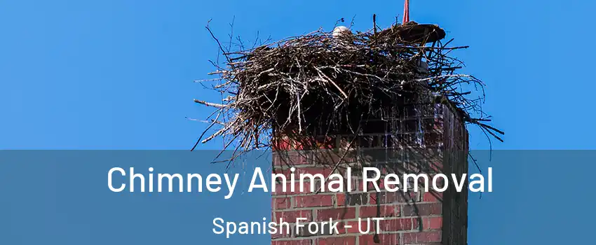 Chimney Animal Removal Spanish Fork - UT