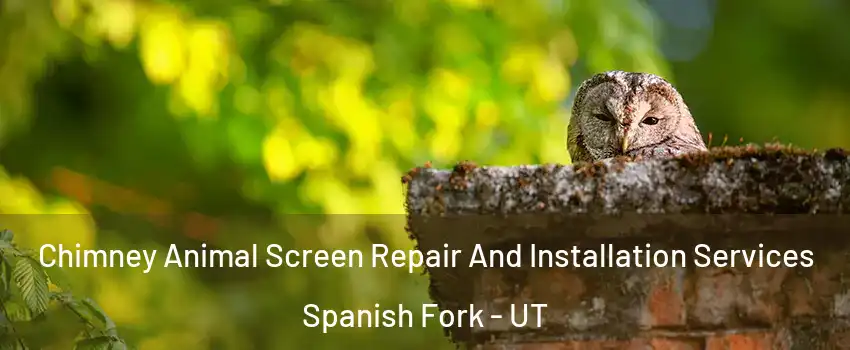 Chimney Animal Screen Repair And Installation Services Spanish Fork - UT