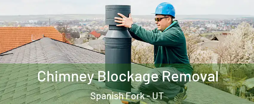  Chimney Blockage Removal Spanish Fork - UT