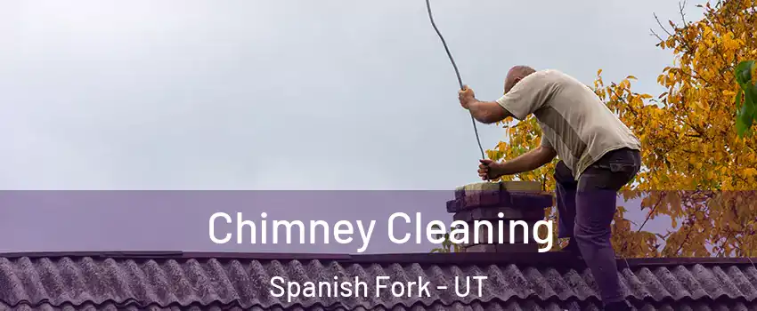  Chimney Cleaning Spanish Fork - UT