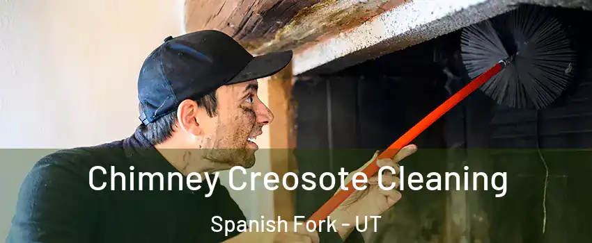  Chimney Creosote Cleaning Spanish Fork - UT