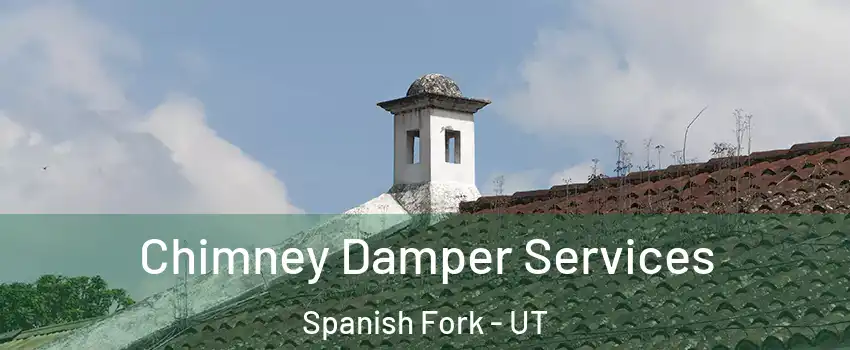  Chimney Damper Services Spanish Fork - UT