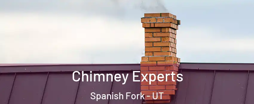  Chimney Experts Spanish Fork - UT