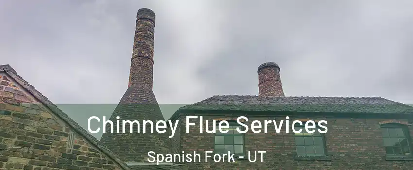  Chimney Flue Services Spanish Fork - UT