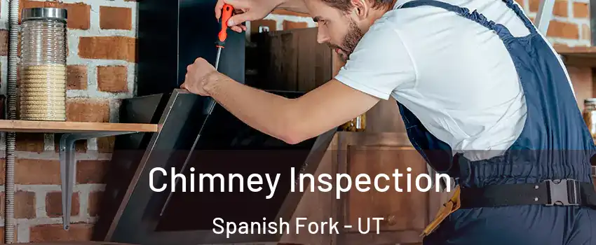  Chimney Inspection Spanish Fork - UT