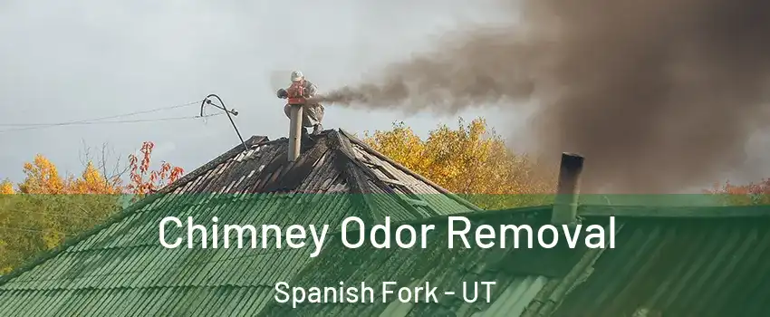  Chimney Odor Removal Spanish Fork - UT