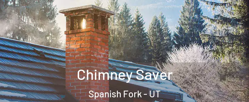  Chimney Saver Spanish Fork - UT