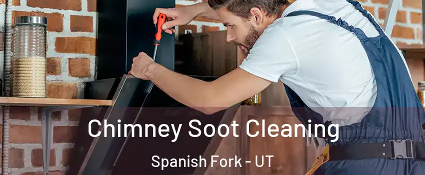  Chimney Soot Cleaning Spanish Fork - UT