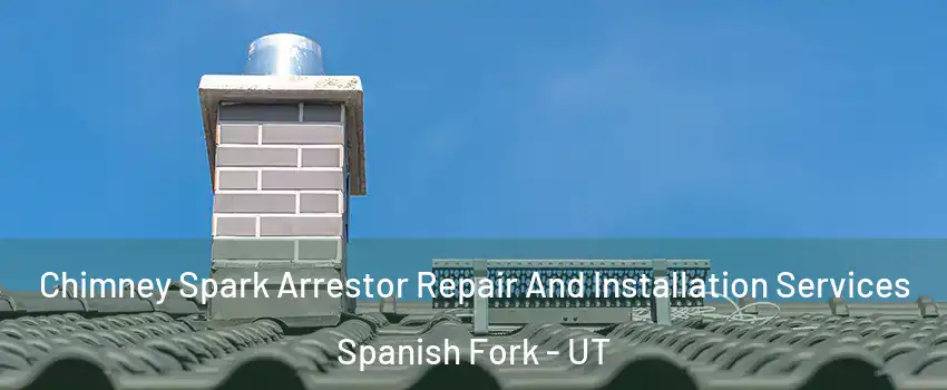  Chimney Spark Arrestor Repair And Installation Services Spanish Fork - UT