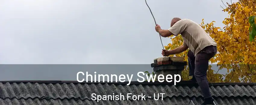  Chimney Sweep Spanish Fork - UT