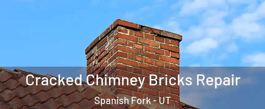  Cracked Chimney Bricks Repair Spanish Fork - UT