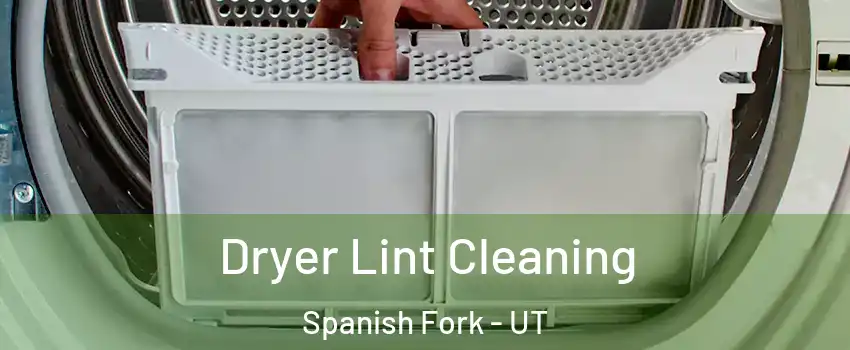  Dryer Lint Cleaning Spanish Fork - UT
