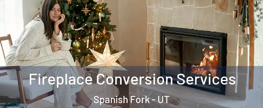  Fireplace Conversion Services Spanish Fork - UT
