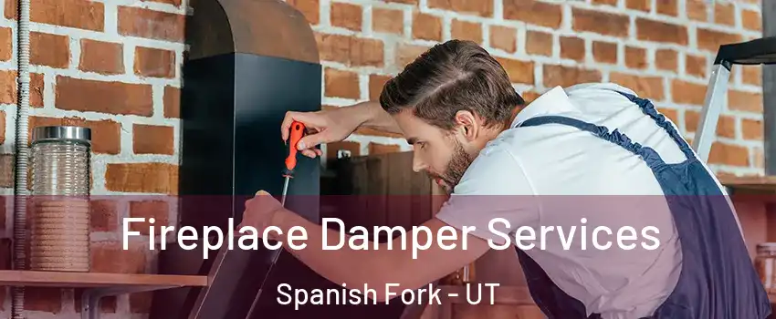  Fireplace Damper Services Spanish Fork - UT