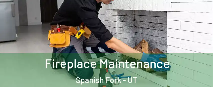  Fireplace Maintenance Spanish Fork - UT