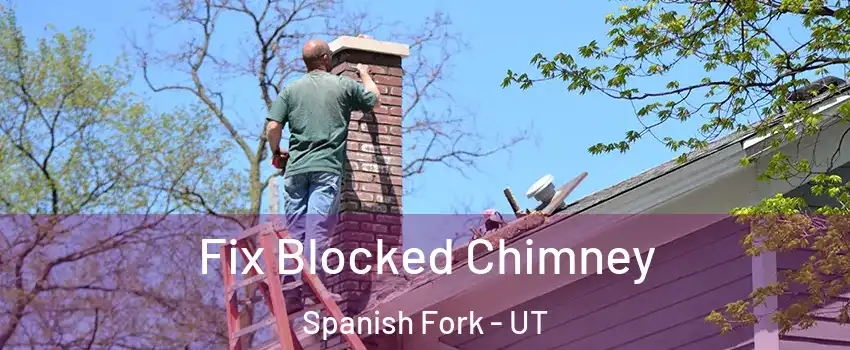  Fix Blocked Chimney Spanish Fork - UT