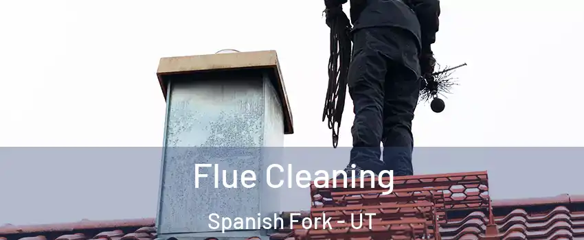  Flue Cleaning Spanish Fork - UT