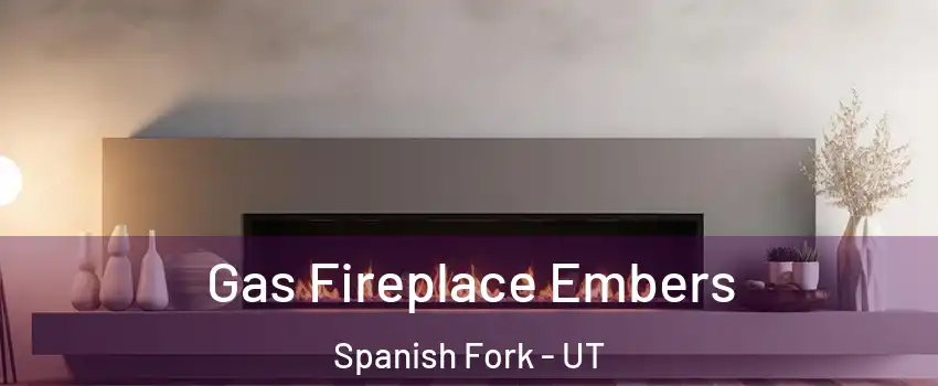  Gas Fireplace Embers Spanish Fork - UT
