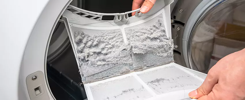 Best Dryer Lint Removal Company in Spanish Fork, Utah