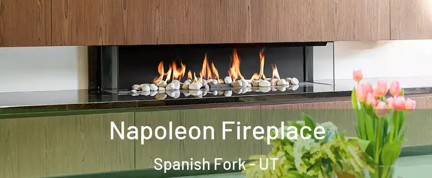  Napoleon Fireplace Spanish Fork - UT