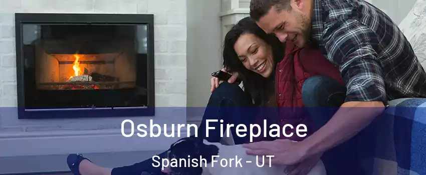  Osburn Fireplace Spanish Fork - UT
