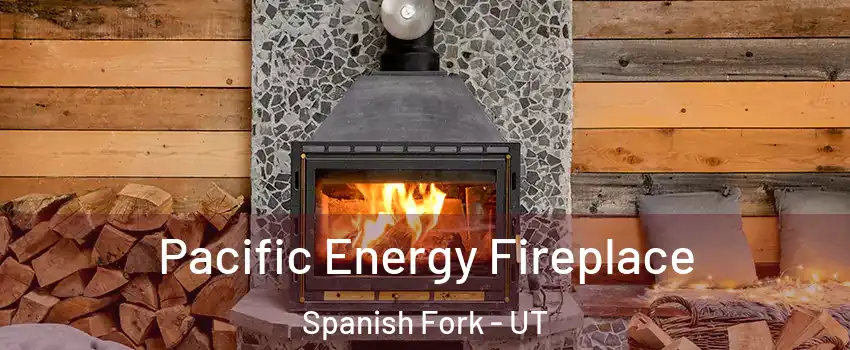  Pacific Energy Fireplace Spanish Fork - UT
