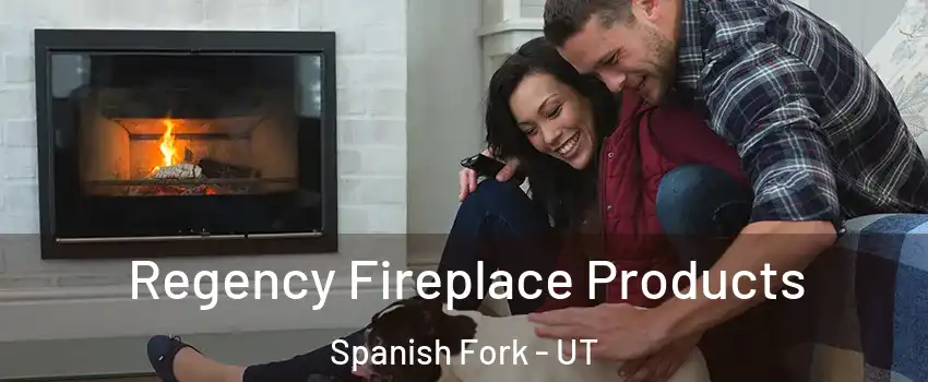  Regency Fireplace Products Spanish Fork - UT