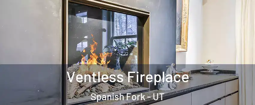  Ventless Fireplace Spanish Fork - UT